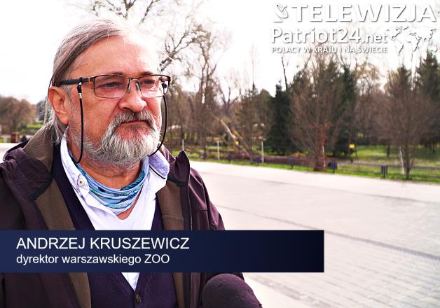 [VIDEO] Warszawskie ZOO: Powstanie nowa małpiarnia, powiększymy wybieg dla gepardów. Będą też kapibary